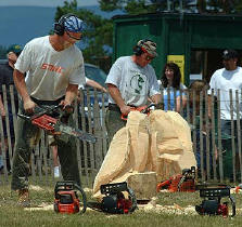 chainsaw carver